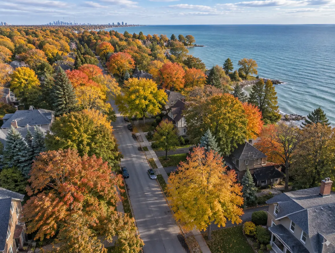 Aerial view of a tree-lined street beside Lake Ontario in autumn